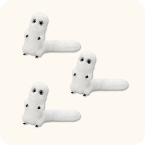 Brush Buddy Plush 3PCS